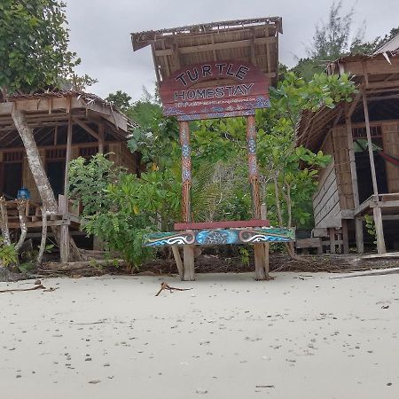 Turtle Dive Homestay Kri Bagian luar foto