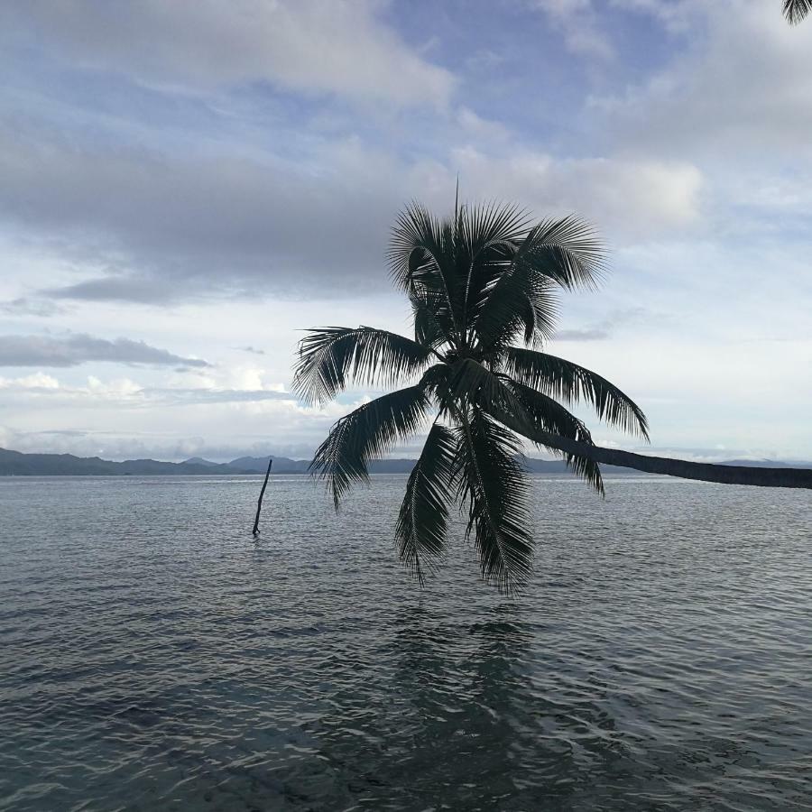 Turtle Dive Homestay Kri Bagian luar foto