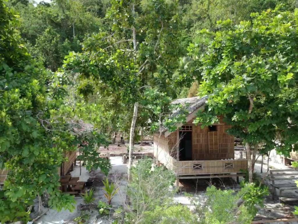 Turtle Dive Homestay Kri Bagian luar foto
