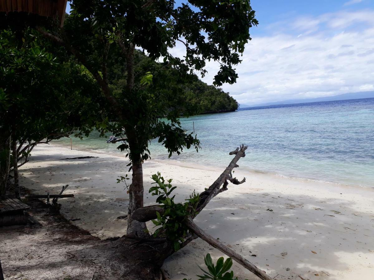 Turtle Dive Homestay Kri Bagian luar foto