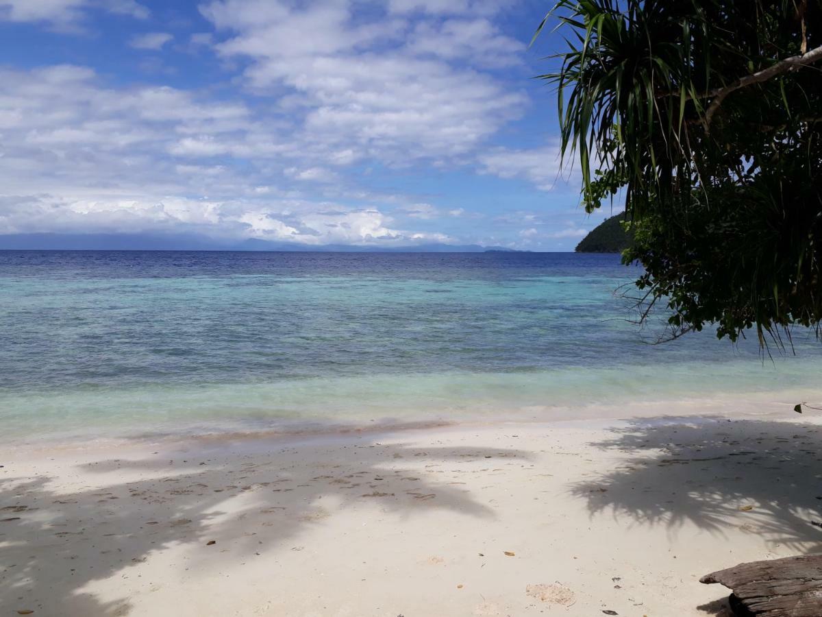 Turtle Dive Homestay Kri Bagian luar foto